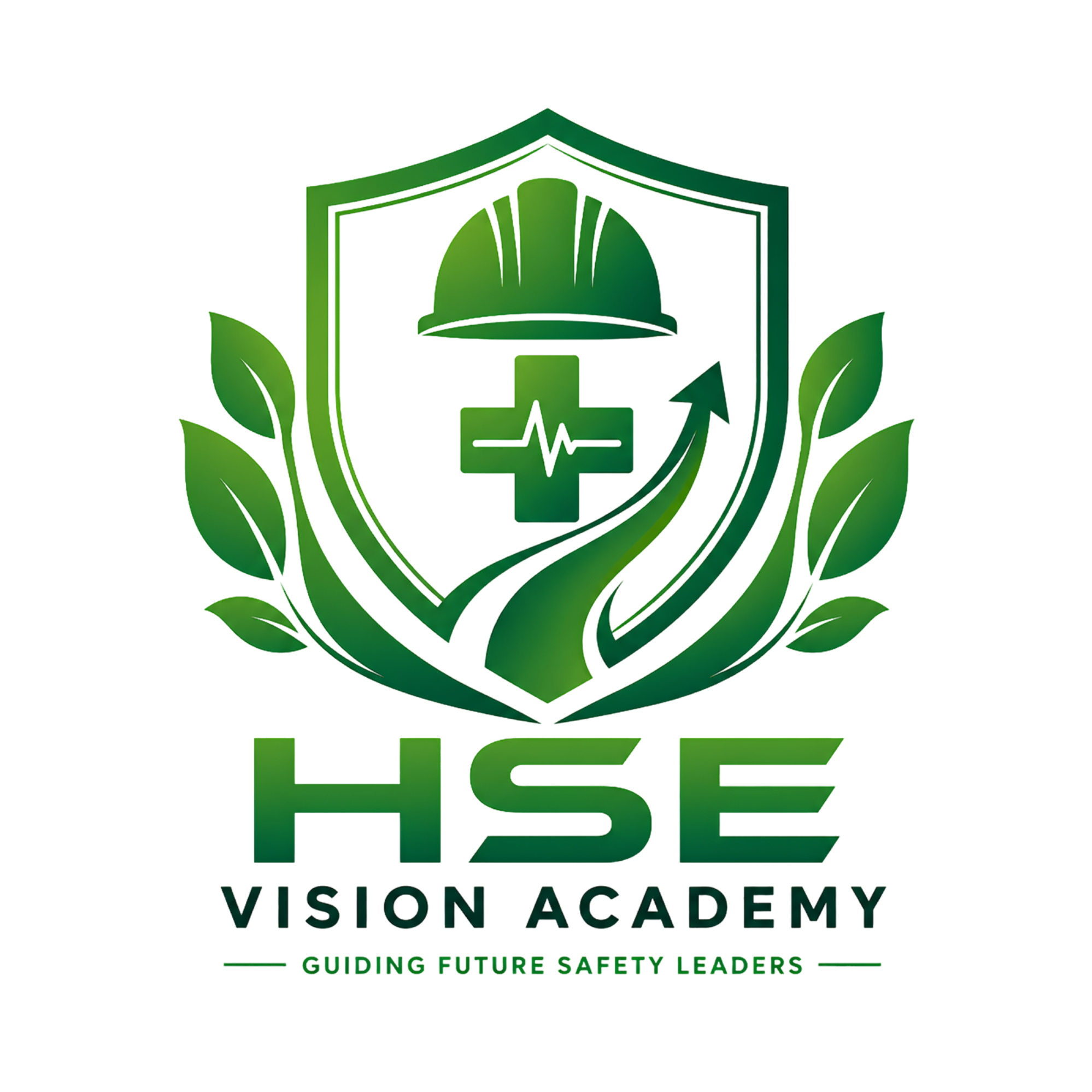 hsevisionacademy